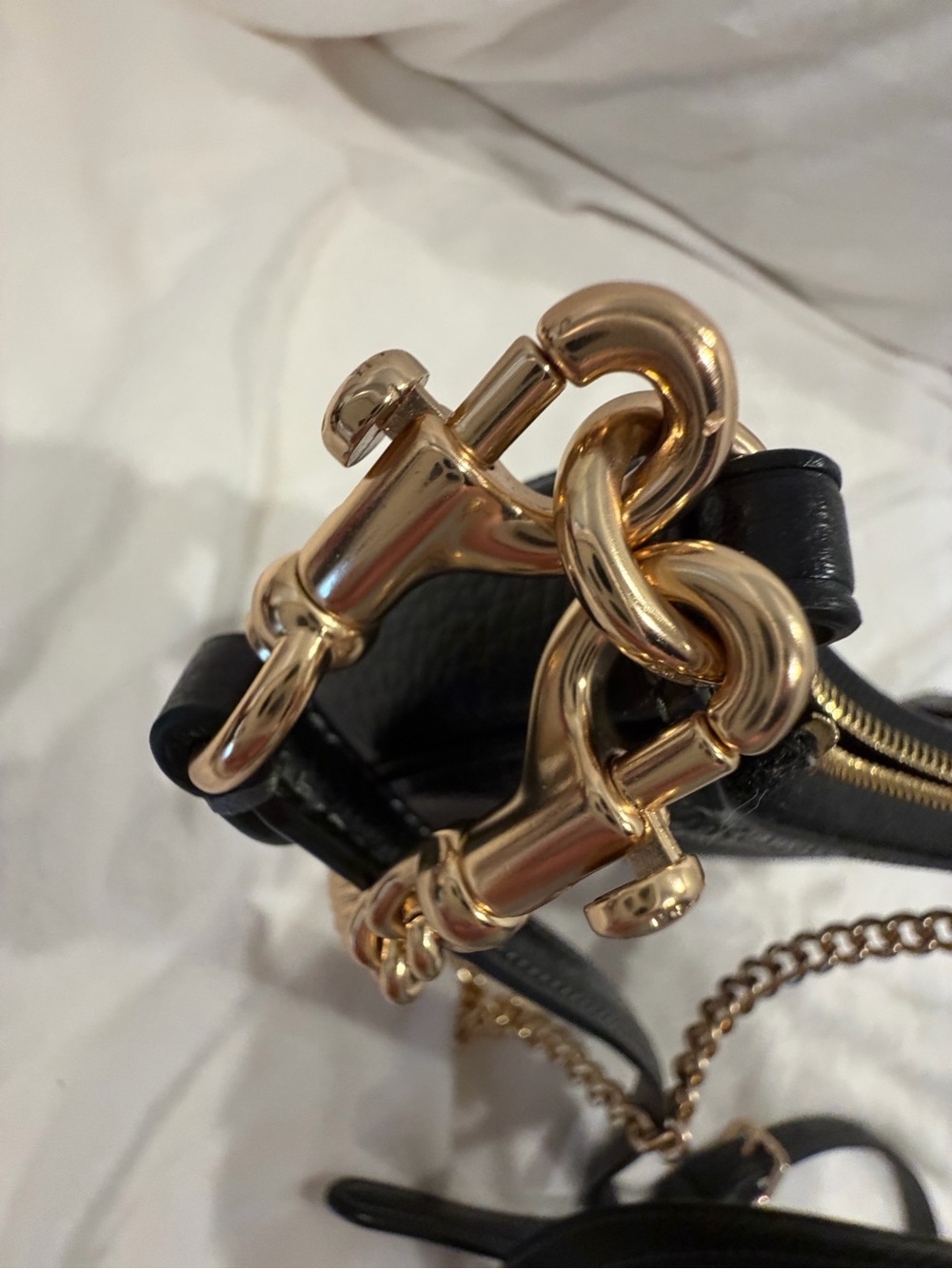 COACH Mini Teri Crossbody Bag - Black/Gold HW - Picture 3 of 7